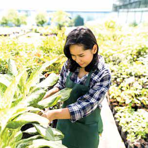 Greenhouse and field training