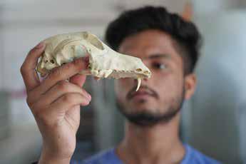 Research and specimen study